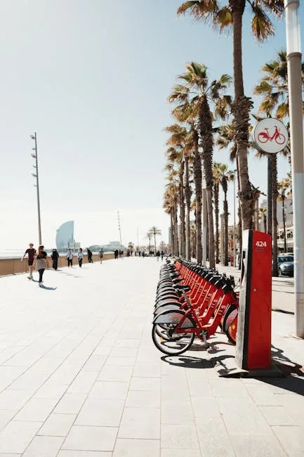 Rote Leihräder an einer palmengesäumten Promenade unter klarem Himmel