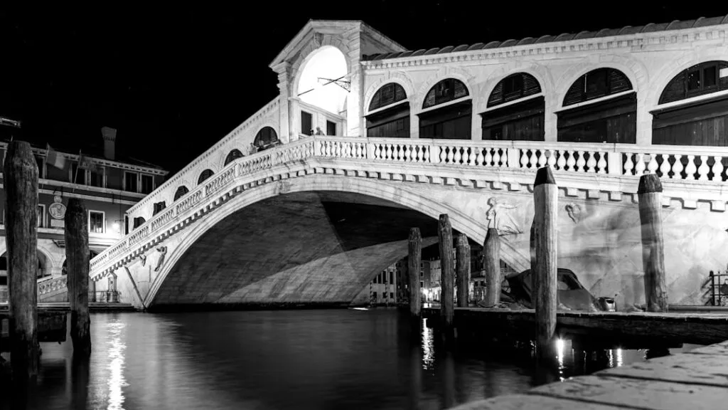 Pont du Rialto à Venise illuminé la nuit en noir et blanc