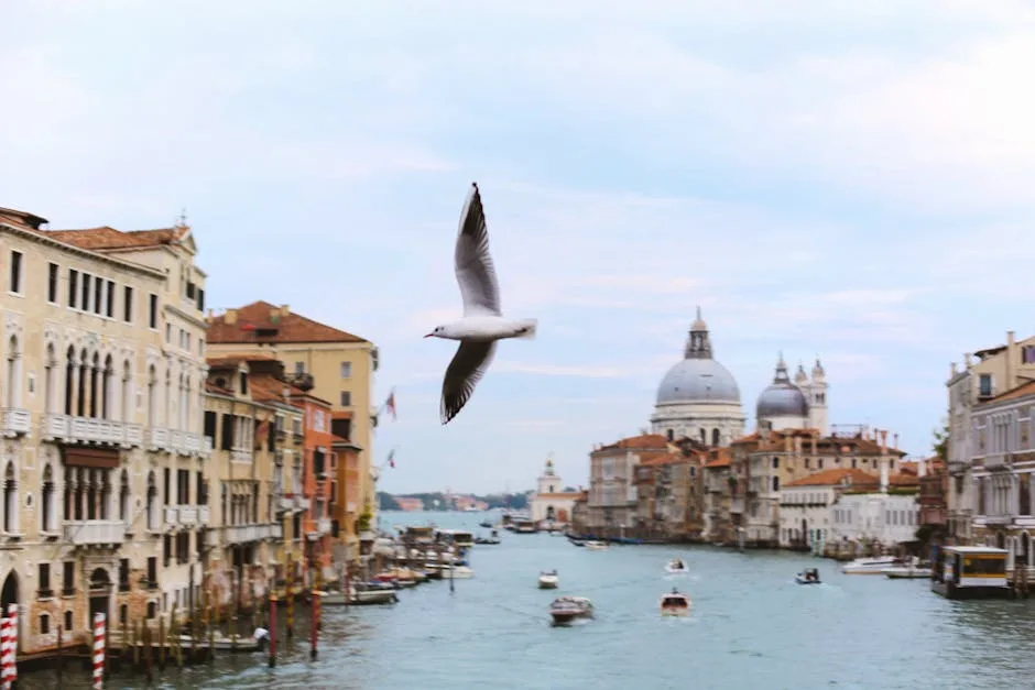 Mouette en vol au-dessus du Grand Canal avec la Salute à Venise