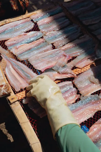 Main gantée arrange des filets de poisson sur claie pour sécher.