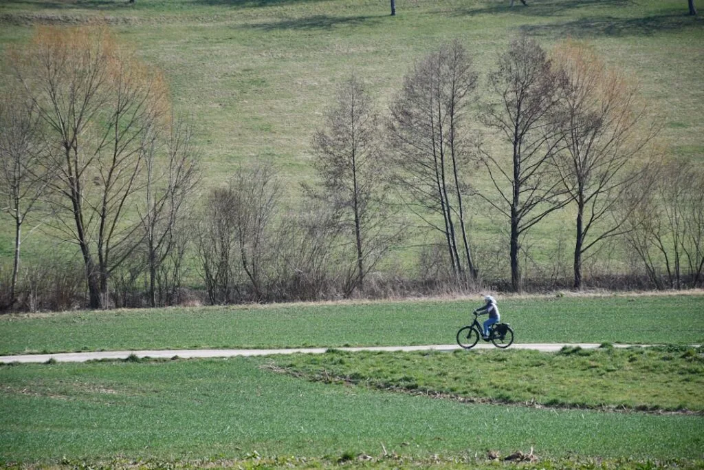 Cycliste solitaire sur une piste traversant des champs verts et arbres