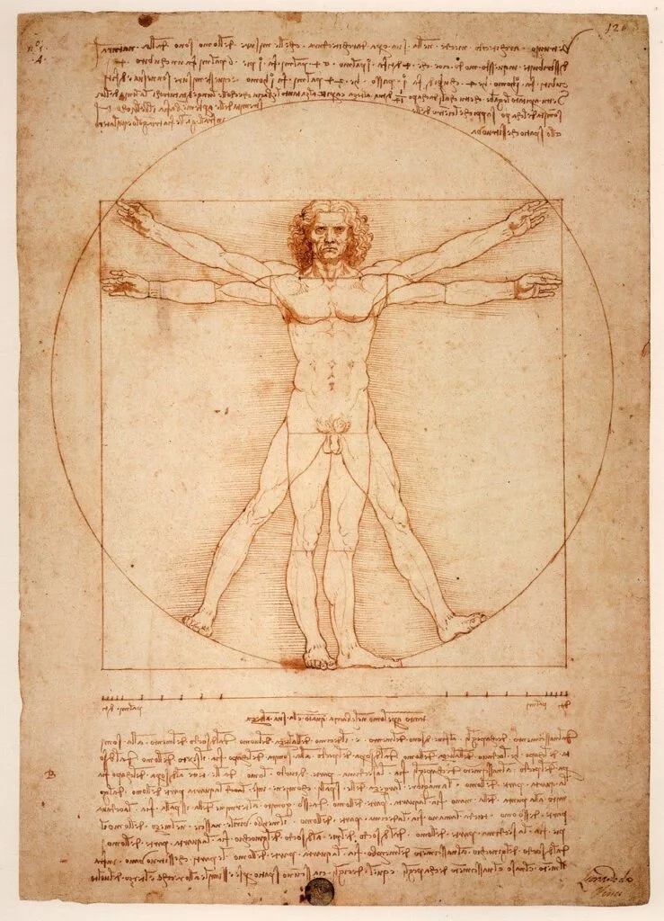Zeichnung des Vitruvianischen Menschen von Leonardo auf Pergament