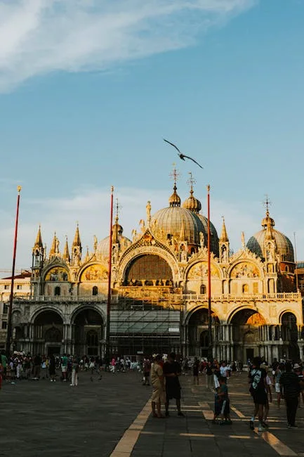 Basilique Saint-Marc à Venise au coucher de soleil, mouette en vol